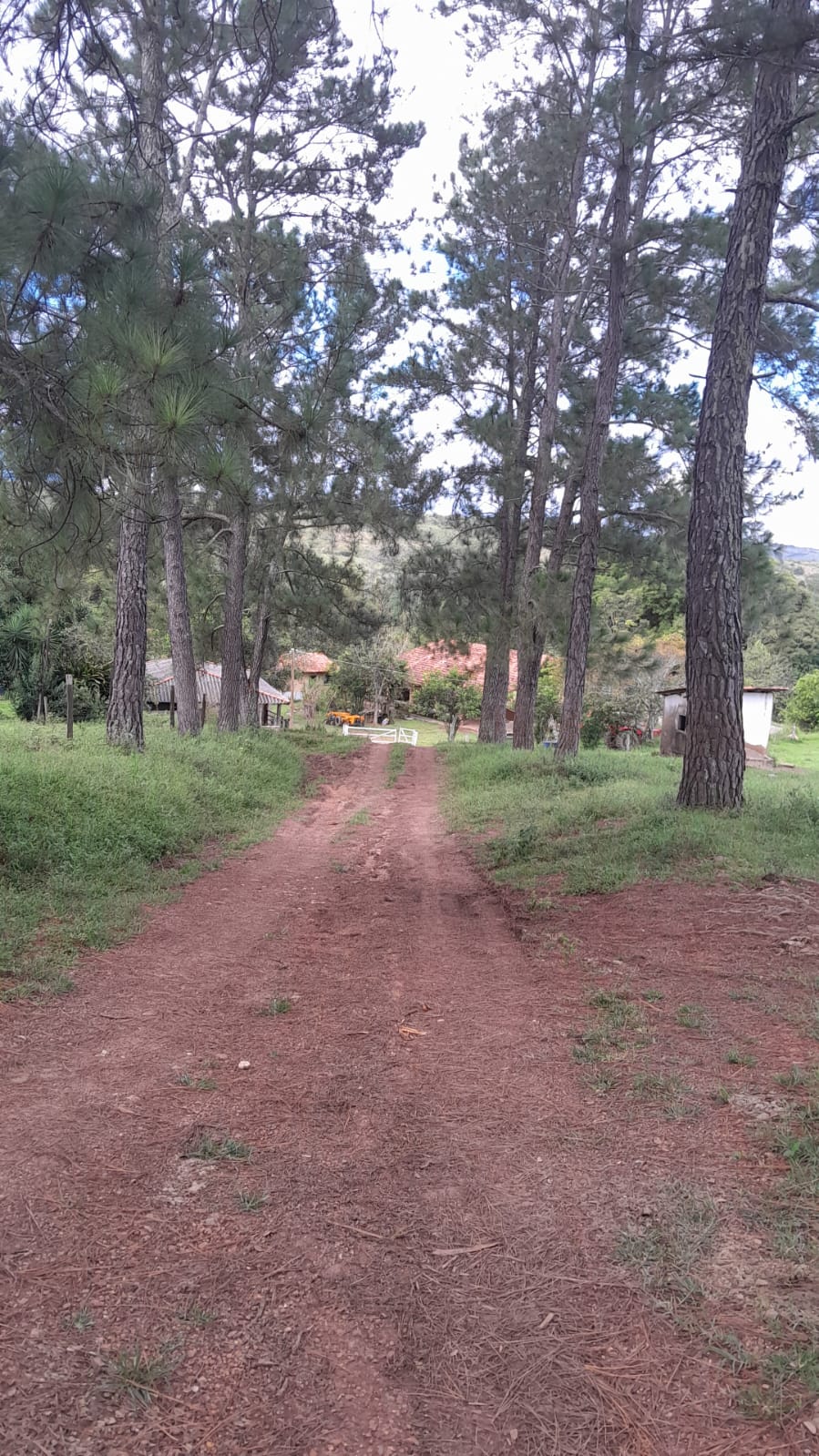 Fazenda à Venda - Santo Antônio do Descoberto - GO — foto