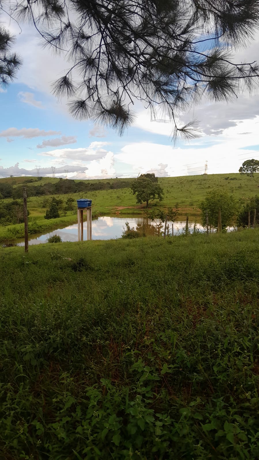 Fazenda à Venda - Santo Antônio do Descoberto - GO — foto
