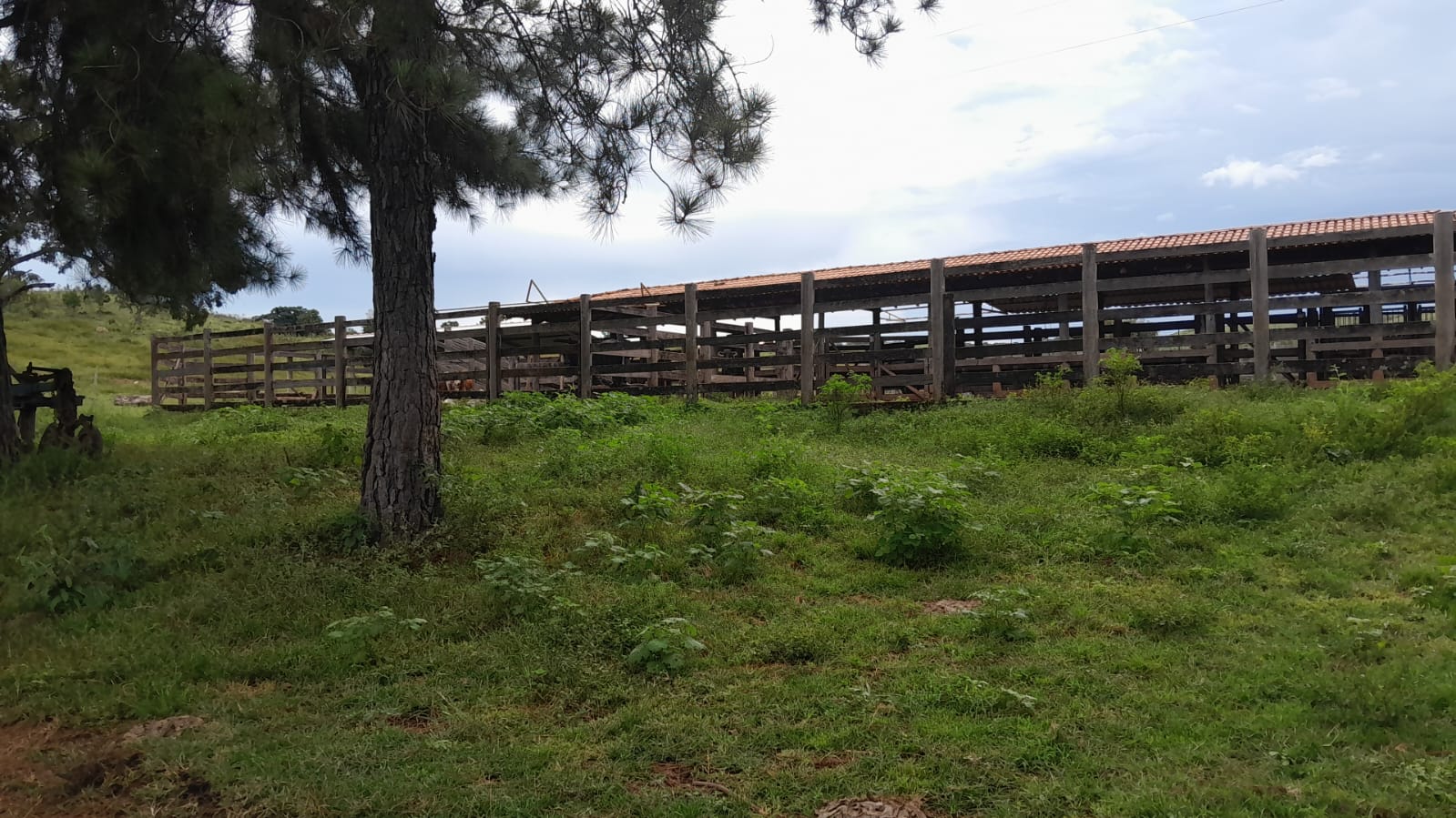 Fazenda à Venda - Santo Antônio do Descoberto - GO — foto