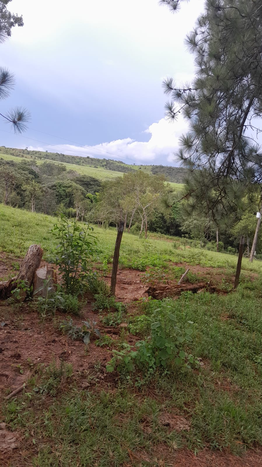 Fazenda à Venda - Santo Antônio do Descoberto - GO — foto