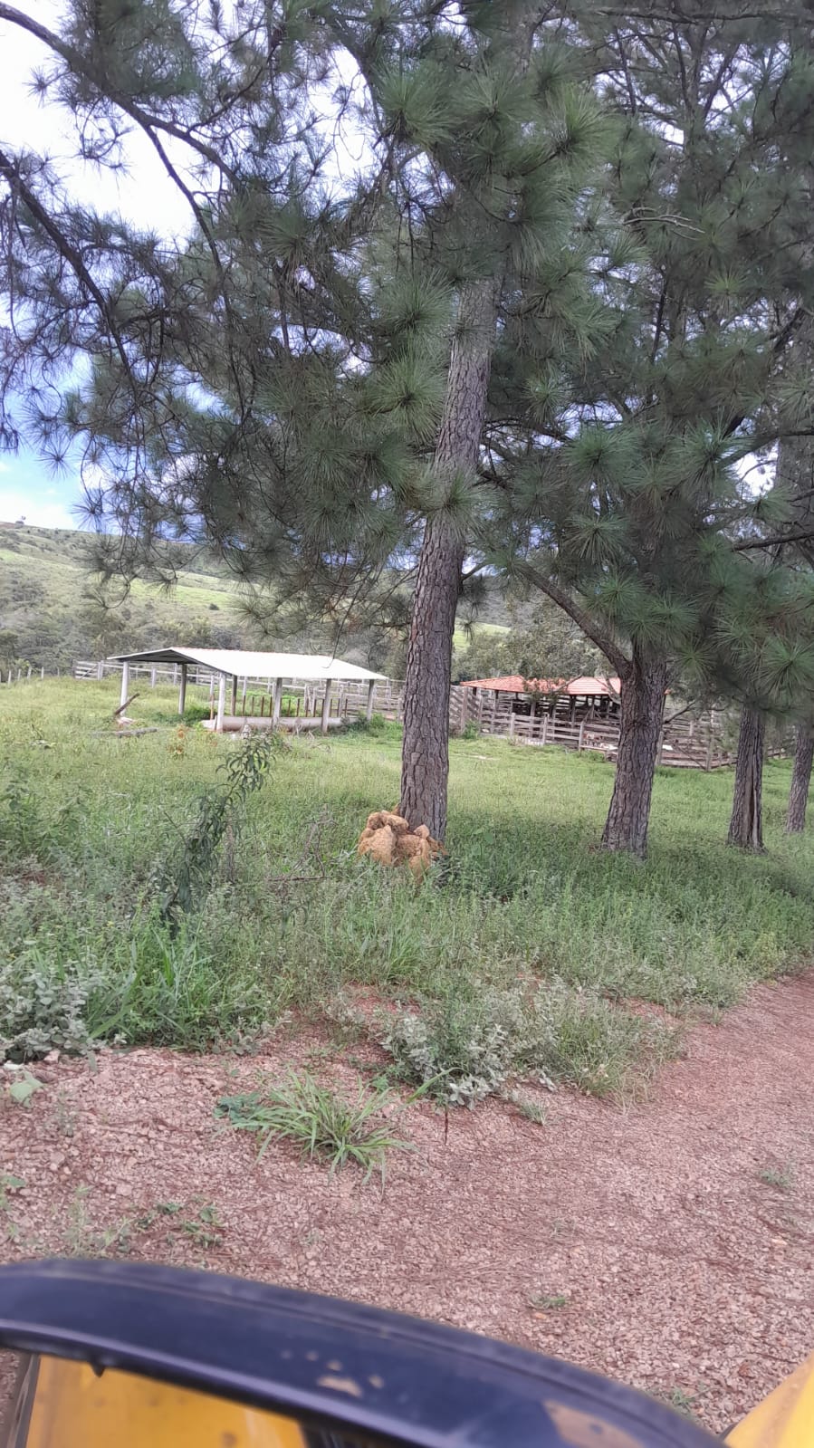 Fazenda à Venda - Santo Antônio do Descoberto - GO — foto