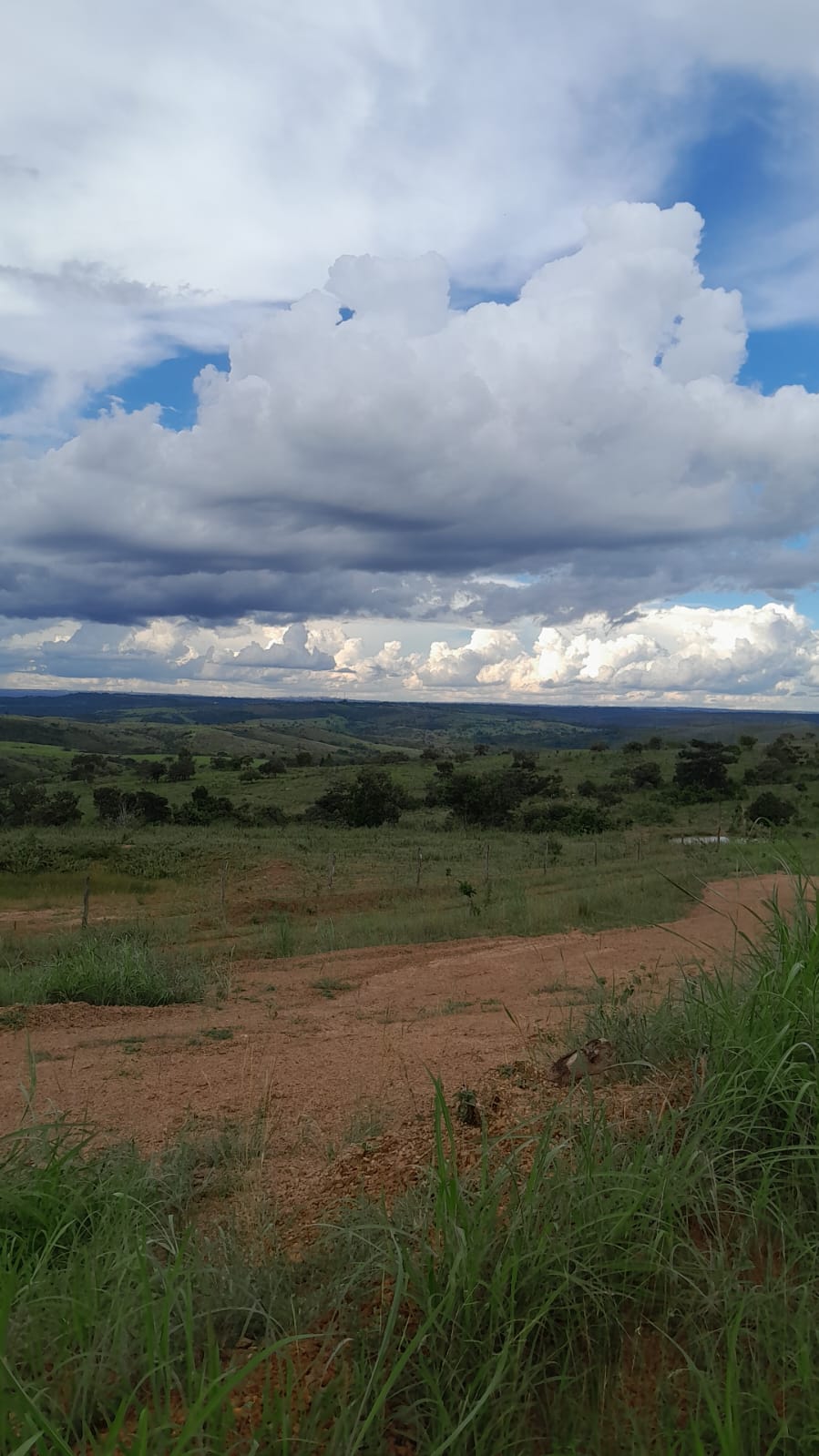 Fazenda à Venda - Santo Antônio do Descoberto - GO — foto