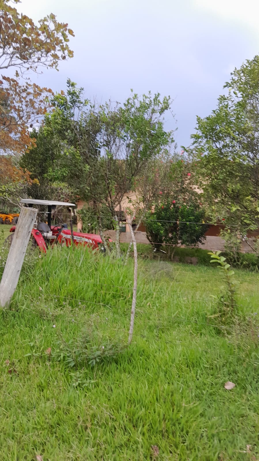 Fazenda à Venda - Santo Antônio do Descoberto - GO — foto