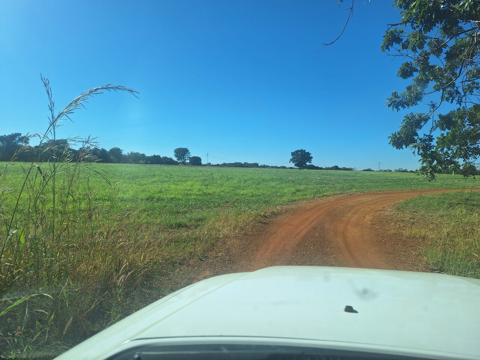 à Venda - Fazenda São José | 685,1883 ha | Alexânia - GO — foto