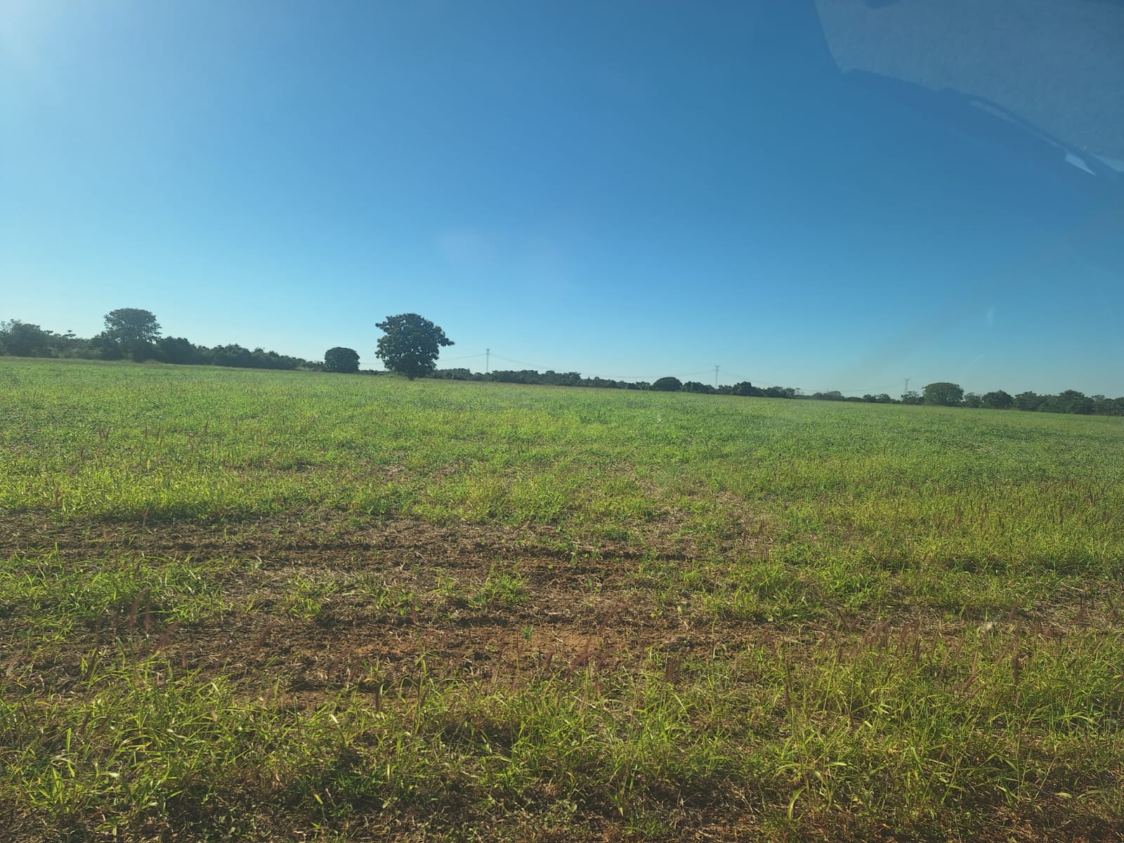 à Venda - Fazenda São José | 685,1883 ha | Alexânia - GO — foto