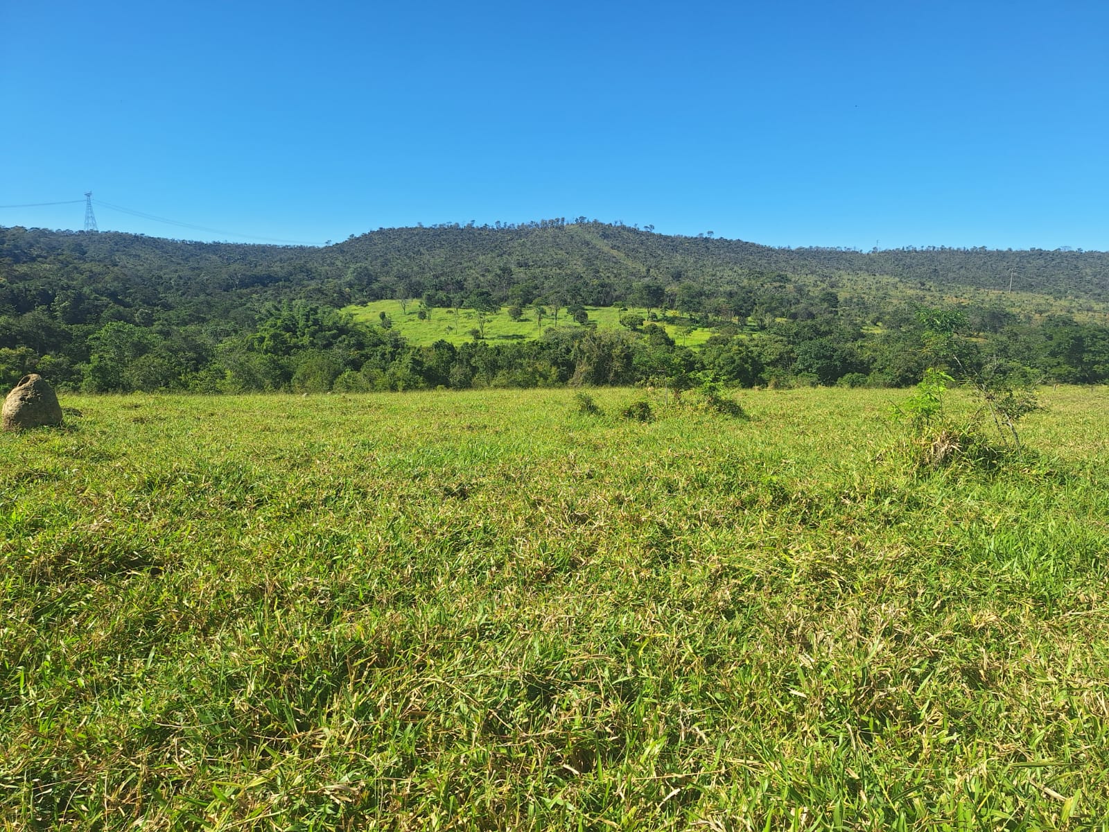 à Venda - Fazenda São José | 685,1883 ha | Alexânia - GO — foto