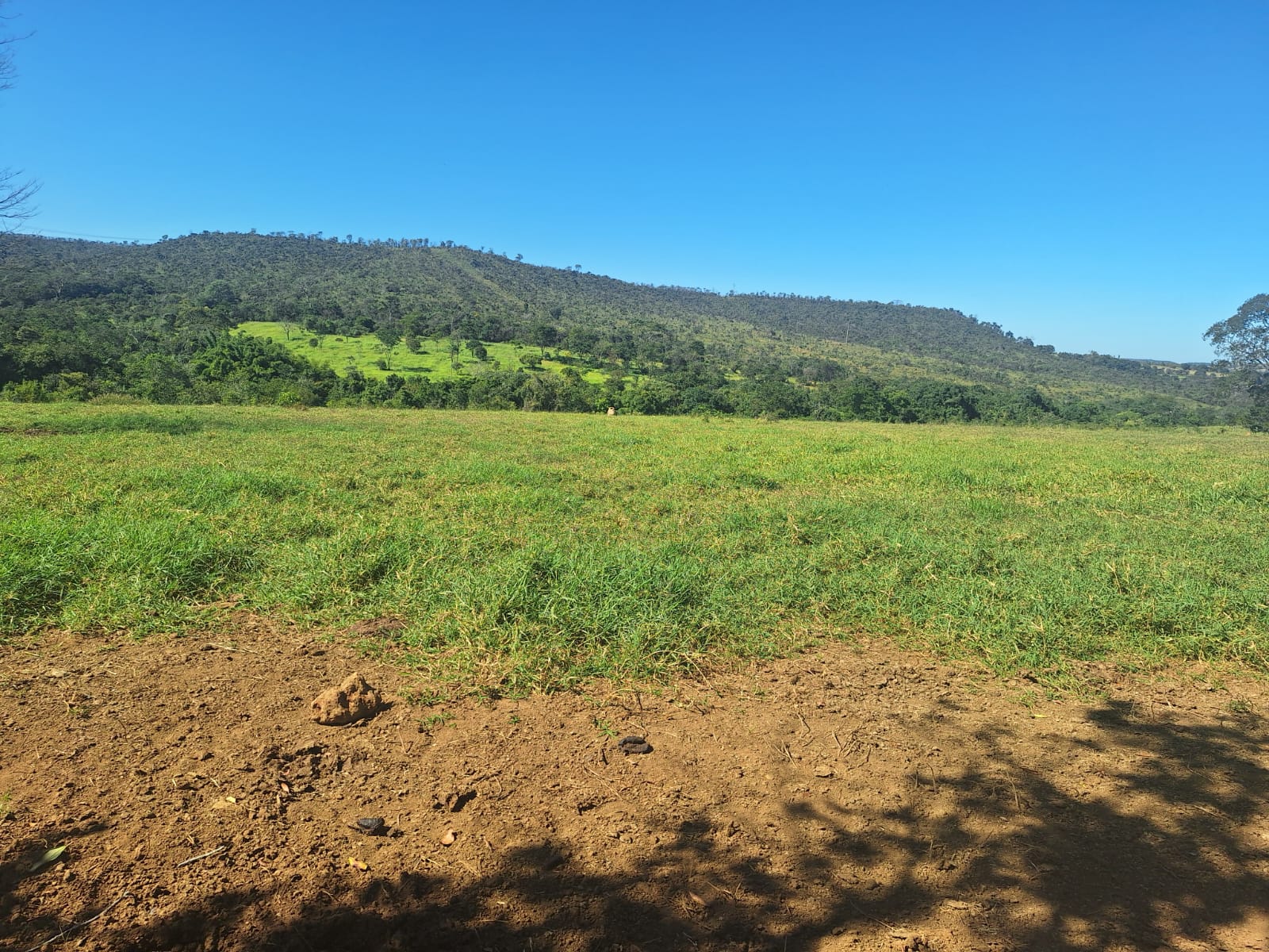 à Venda - Fazenda São José | 685,1883 ha | Alexânia - GO — foto