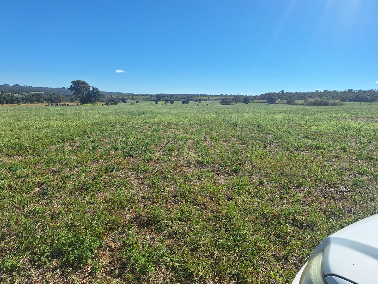 à Venda - Fazenda São José | 685,1883 ha | Alexânia - GO — foto