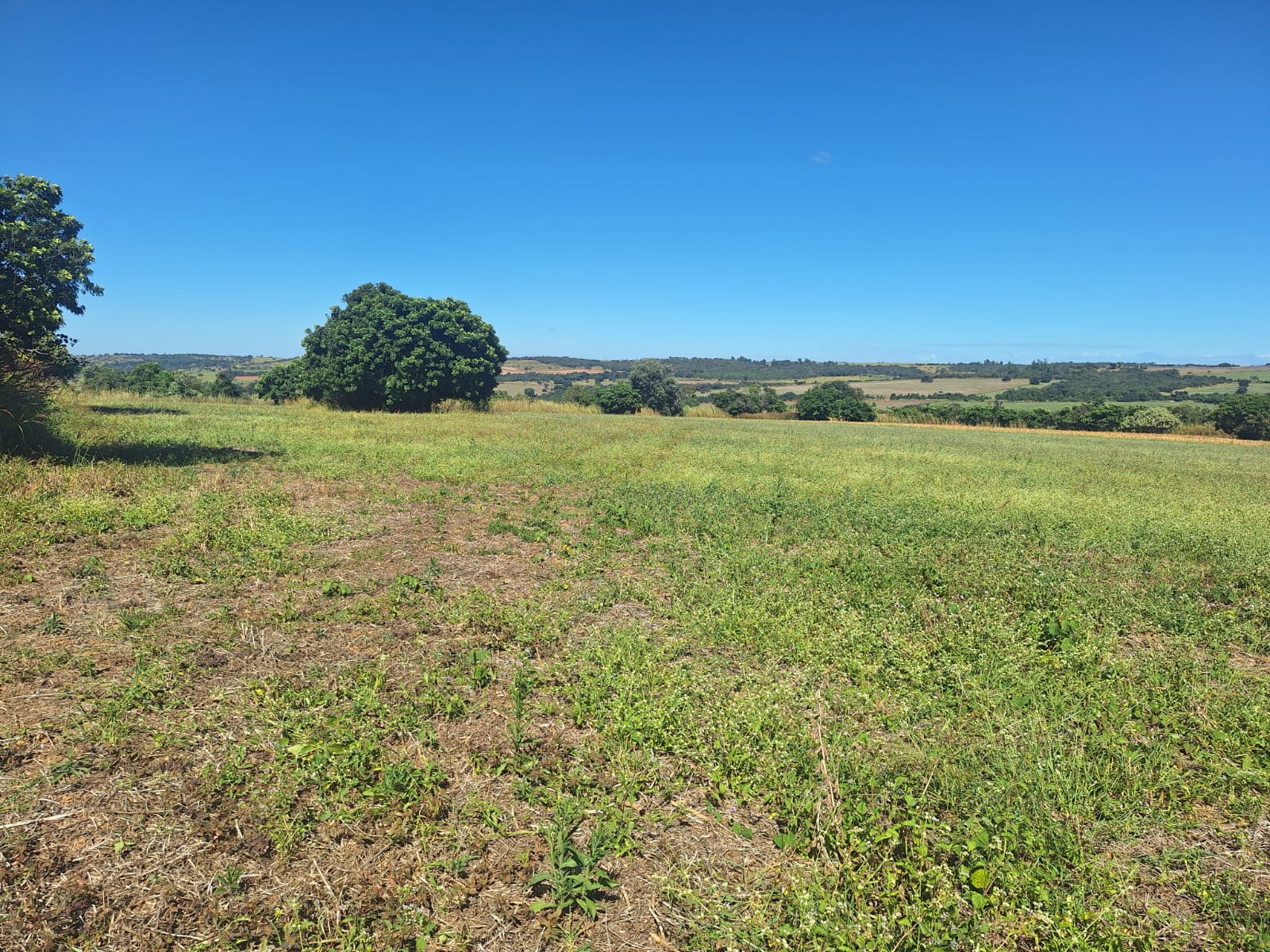 à Venda - Fazenda São José | 685,1883 ha | Alexânia - GO — foto
