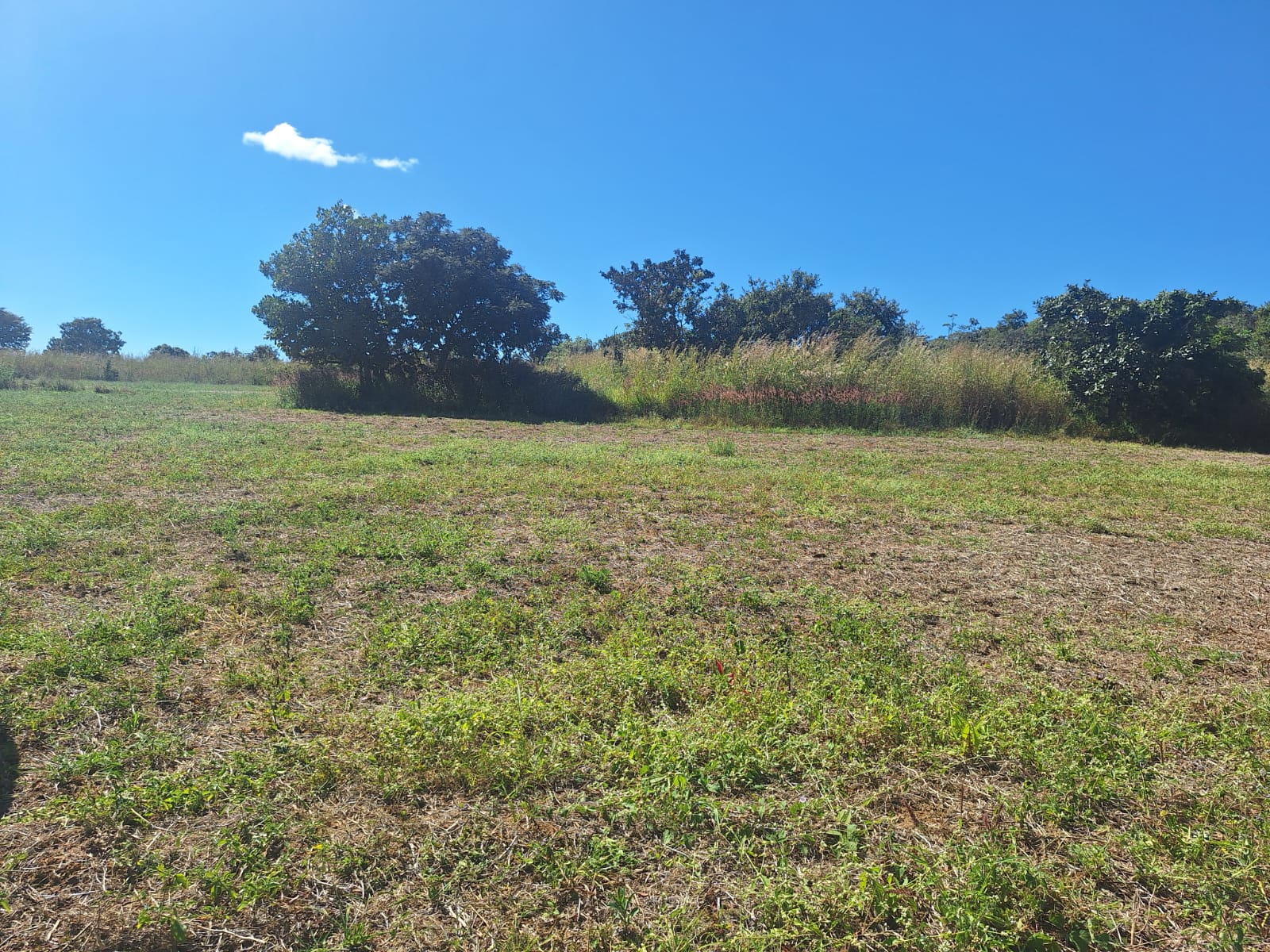 à Venda - Fazenda São José | 685,1883 ha | Alexânia - GO — foto