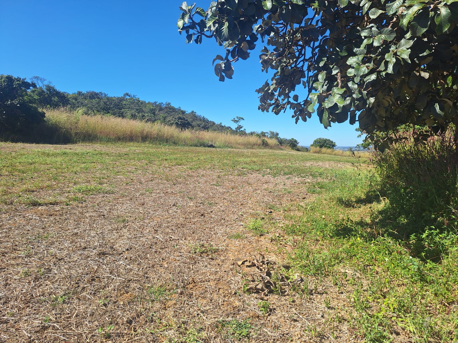 à Venda - Fazenda São José | 685,1883 ha | Alexânia - GO — foto