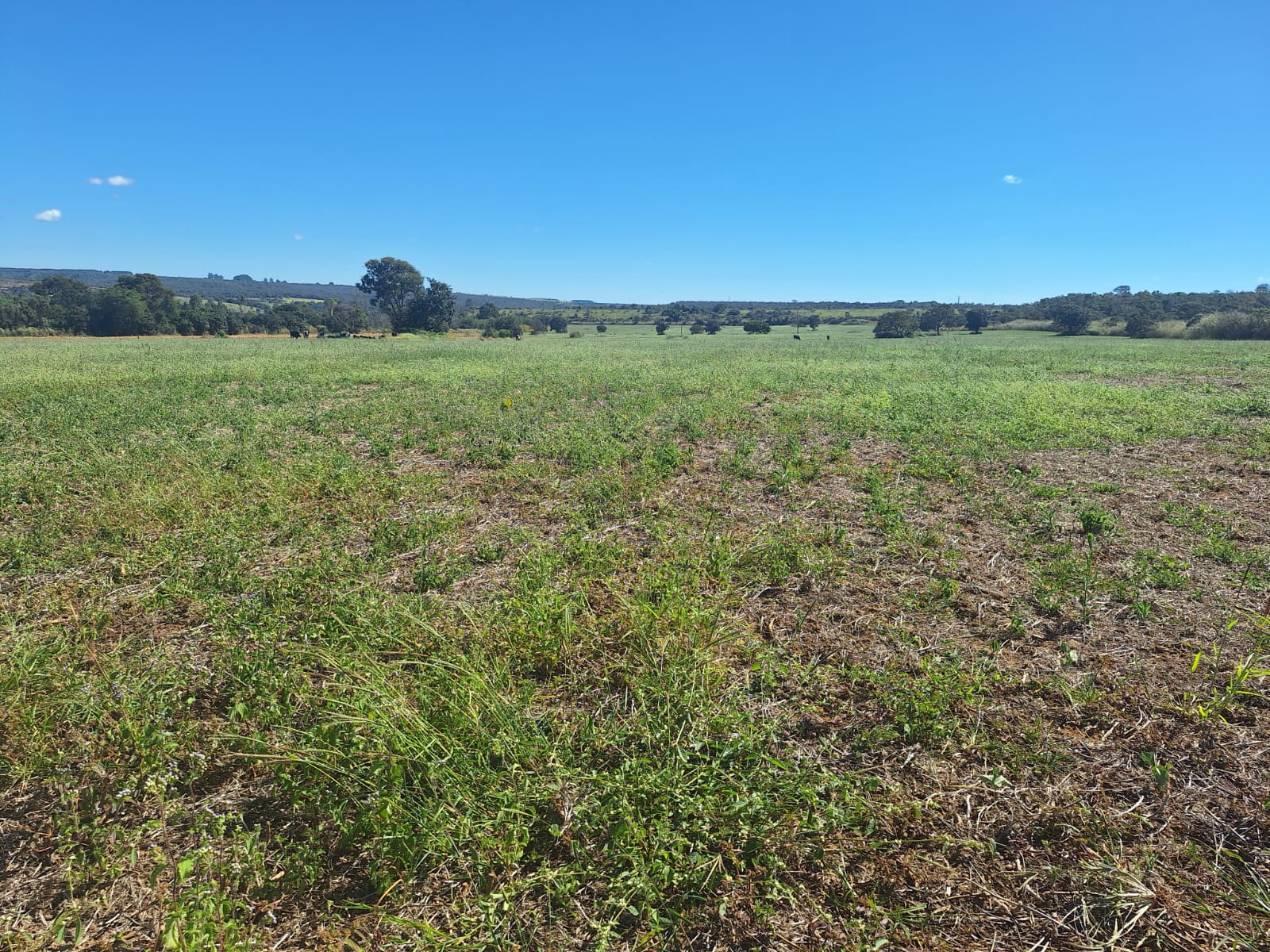 à Venda - Fazenda São José | 685,1883 ha | Alexânia - GO — foto