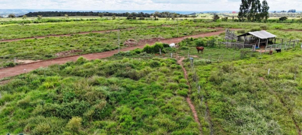 de Chácaras à Venda - Zona Rural | Abadiânia - GO — foto