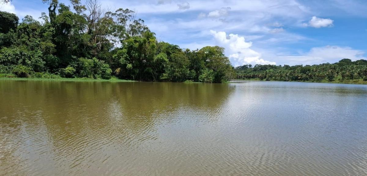 à Venda - Real Ville Gold | Lago Corumbá IV, Alexânia - GO — foto