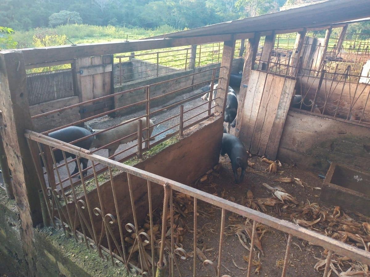 à Venda - Santo Antônio do Descoberto - GO — foto