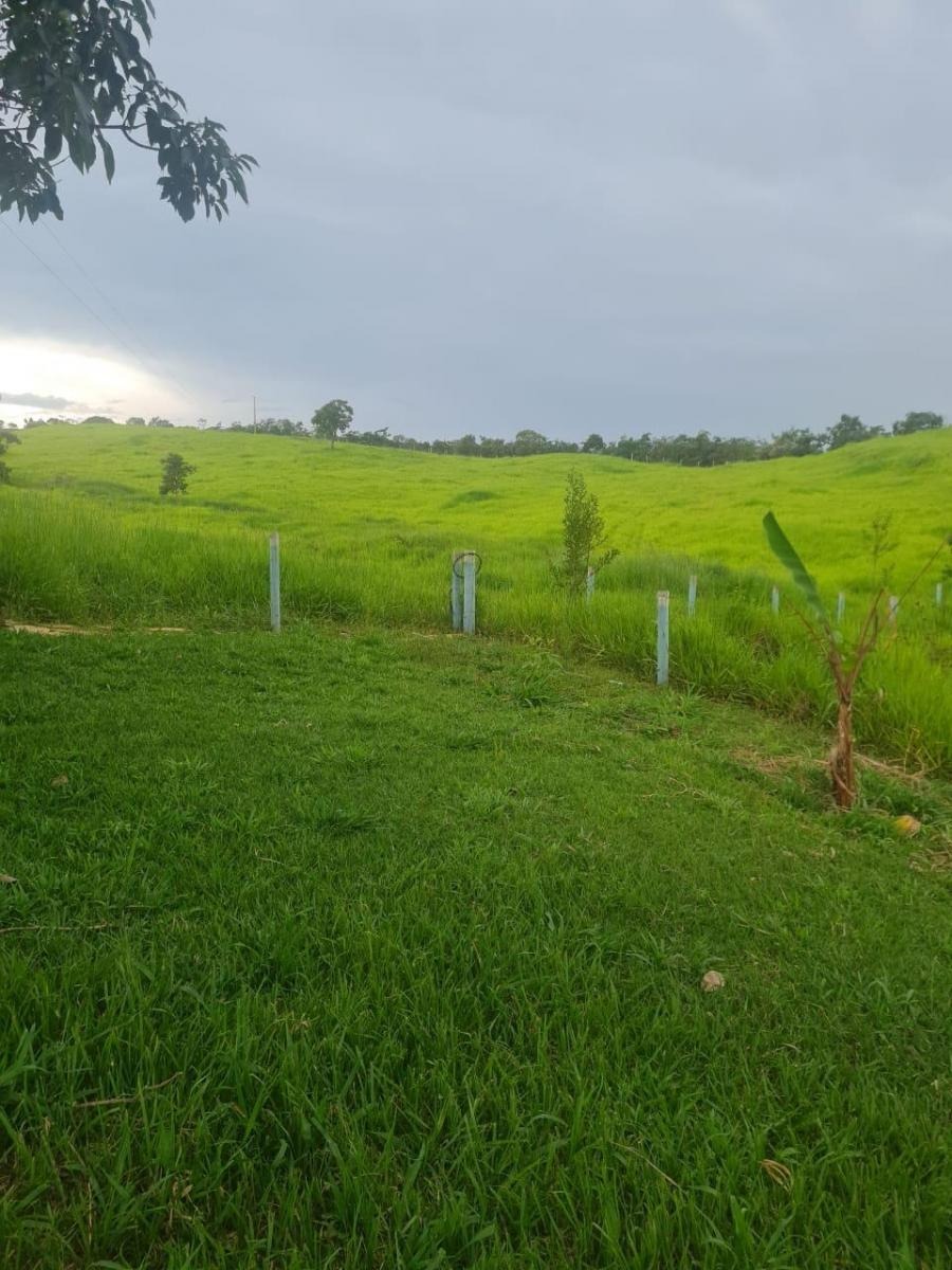 à Venda - Zona Rural | Alexânia - GO — foto