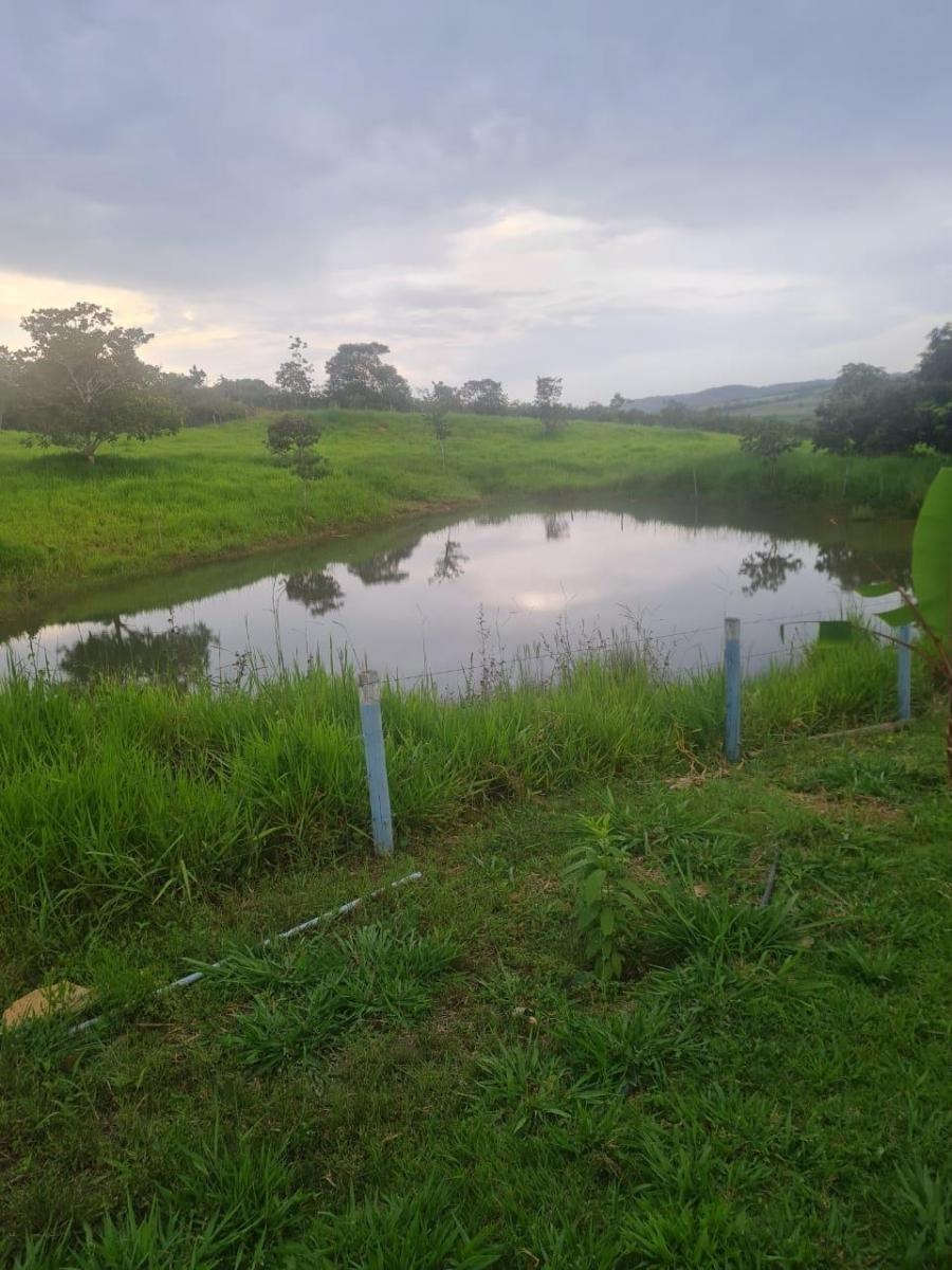à Venda - Zona Rural | Alexânia - GO — foto