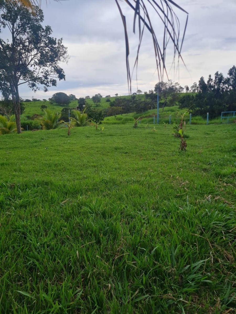 à Venda - Zona Rural | Alexânia - GO — foto