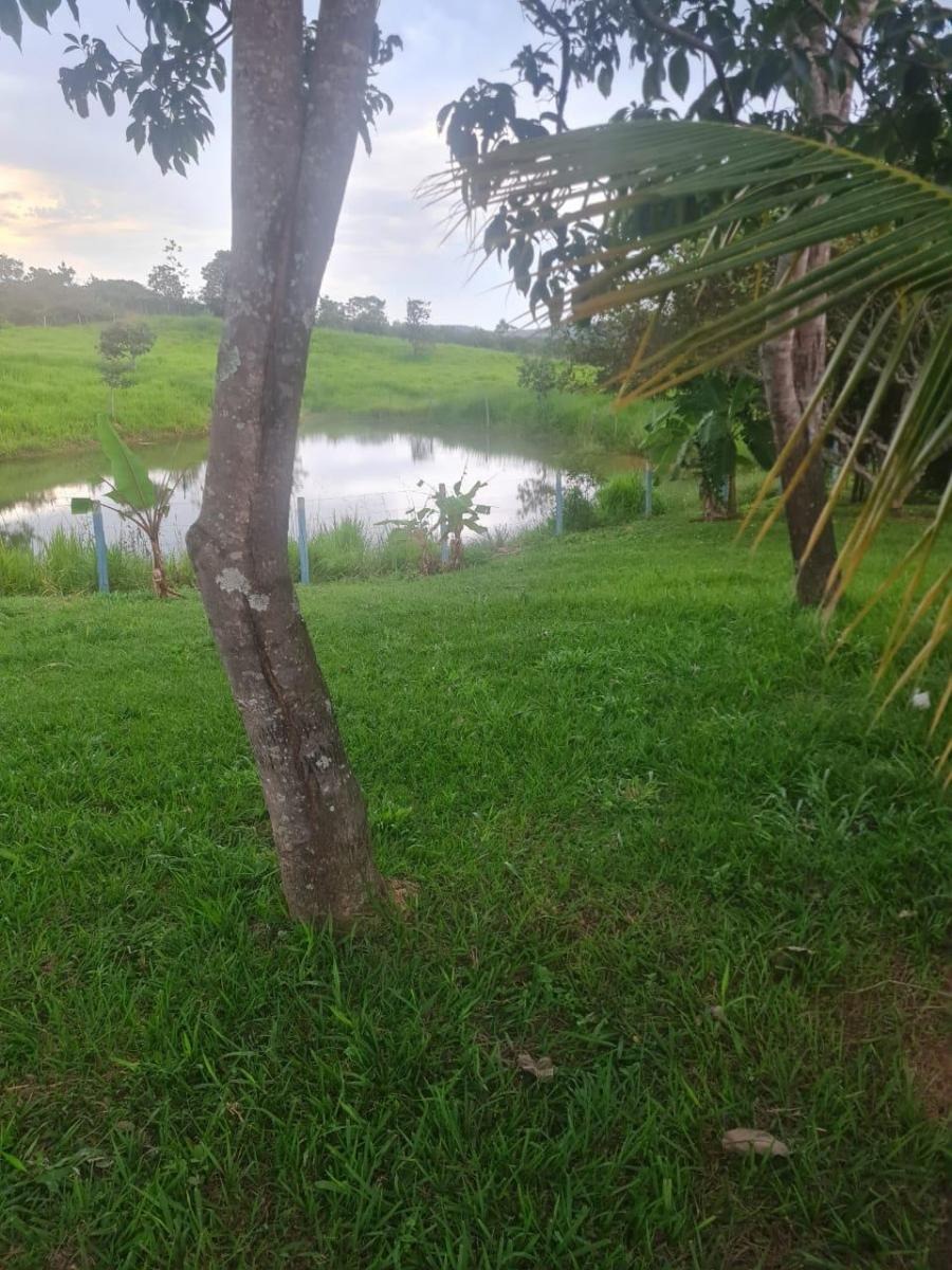 à Venda - Zona Rural | Alexânia - GO — foto