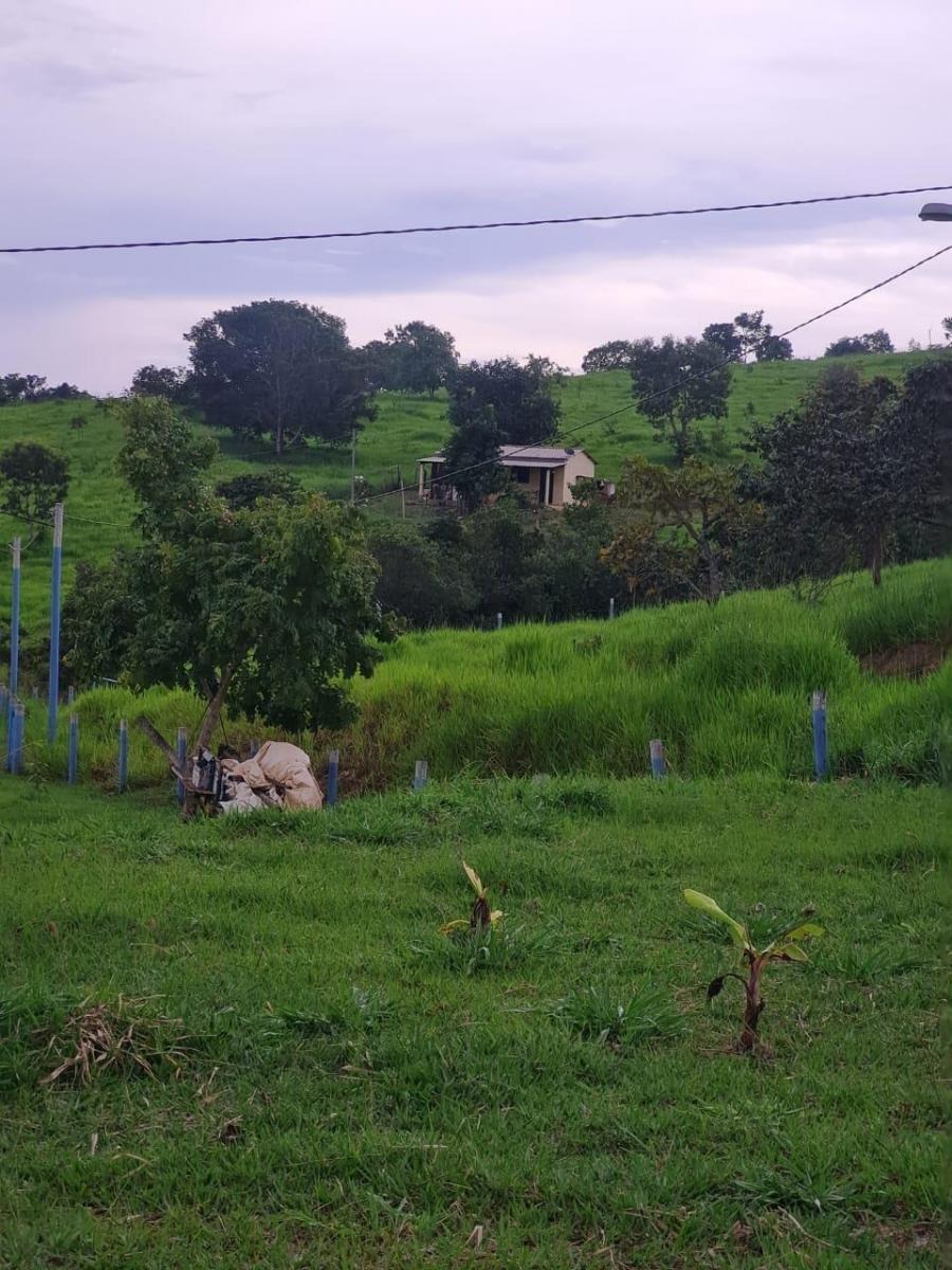 à Venda - Zona Rural | Alexânia - GO — foto
