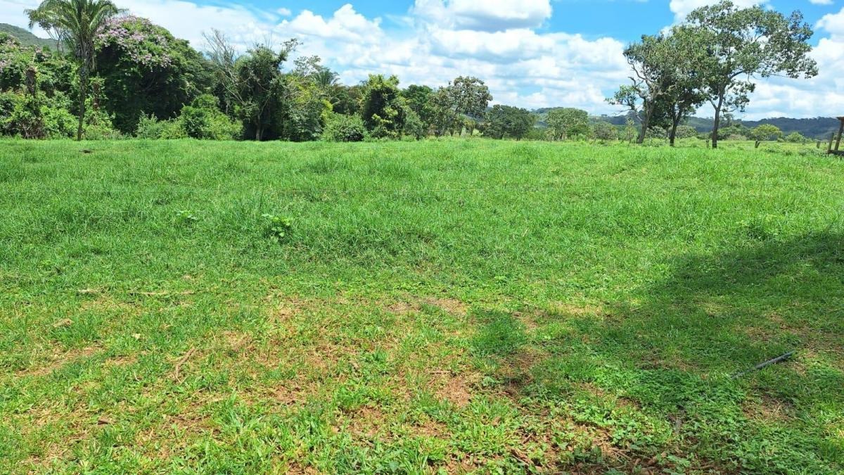 à Venda - Alexânia/GO — foto