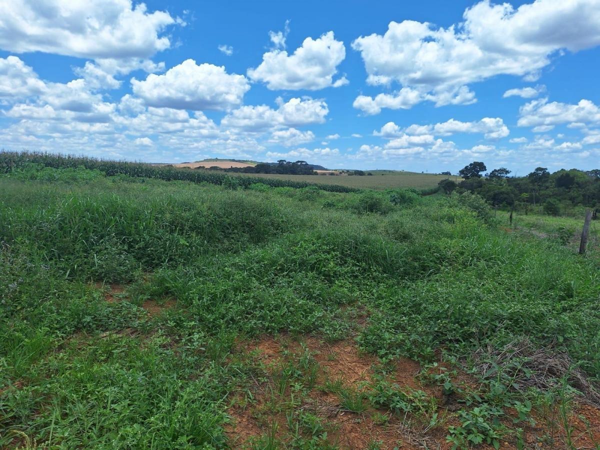 à Venda - Alexânia/GO — foto
