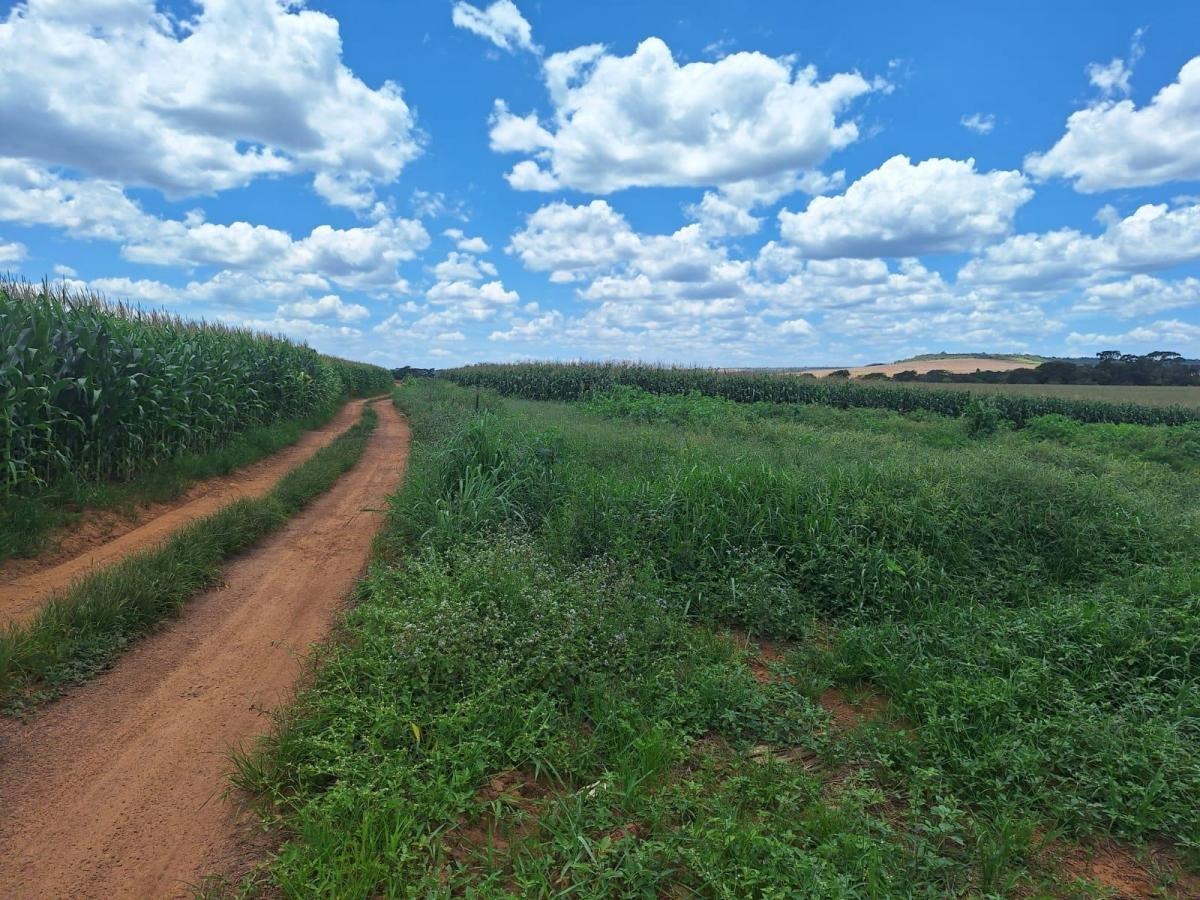 à Venda - Alexânia/GO — foto