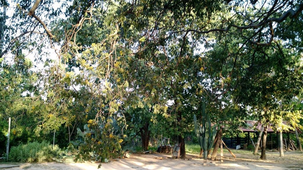 à Venda - Urucuia/MG — foto
