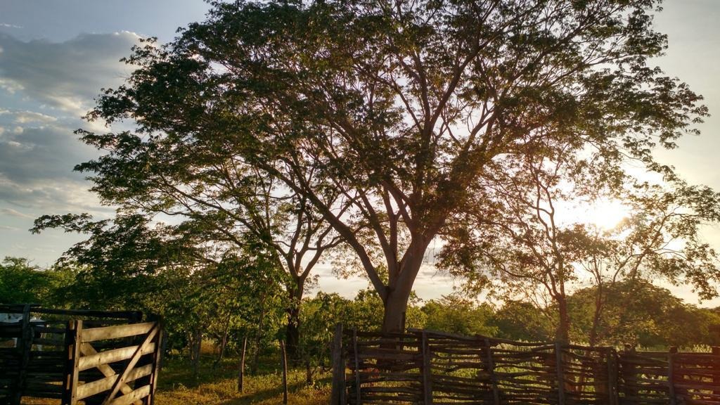 à Venda - Urucuia/MG — foto