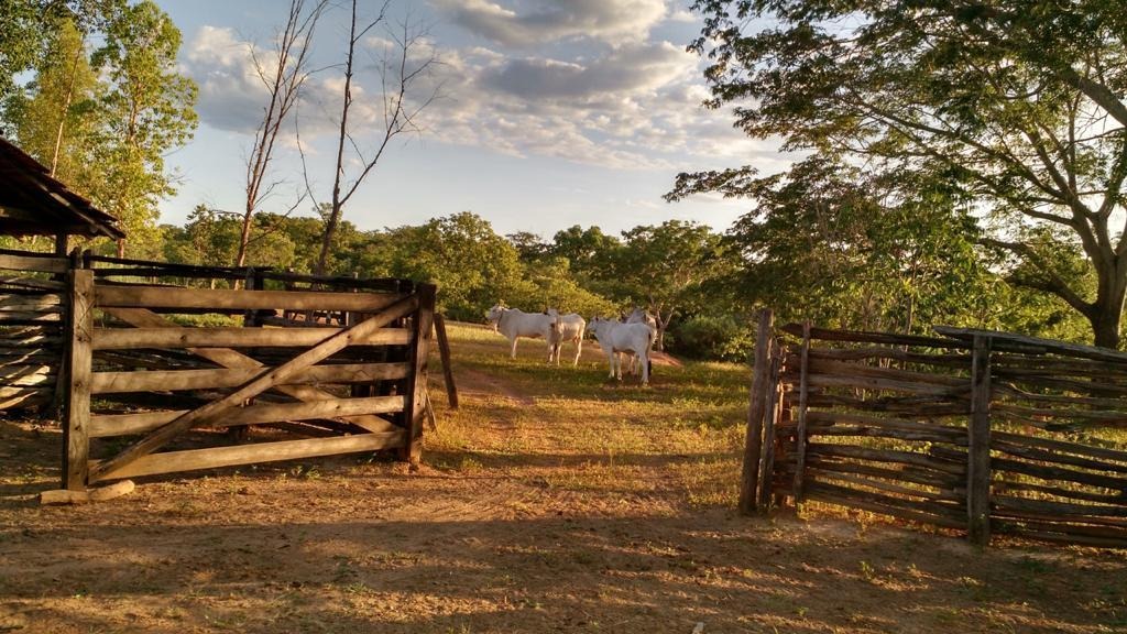 à Venda - Urucuia/MG — foto