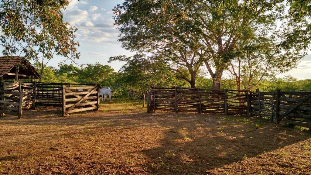 à Venda - Urucuia/MG — foto