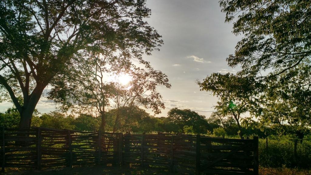 à Venda - Urucuia/MG — foto