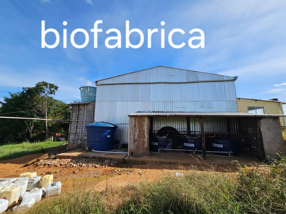 à Venda - Cocalzinho de Goiás/GO — foto
