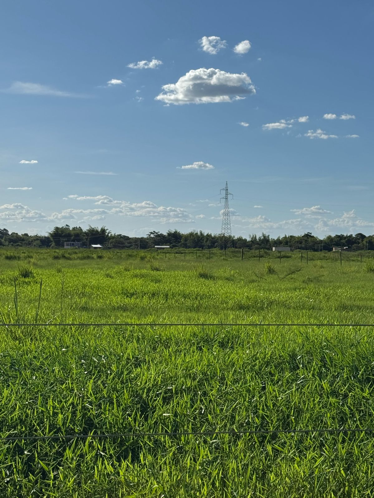 Área Rural à Venda – Fátima do Sul/MS — foto