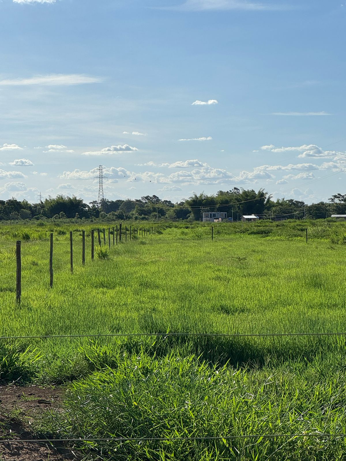 Área Rural à Venda – Fátima do Sul/MS — foto