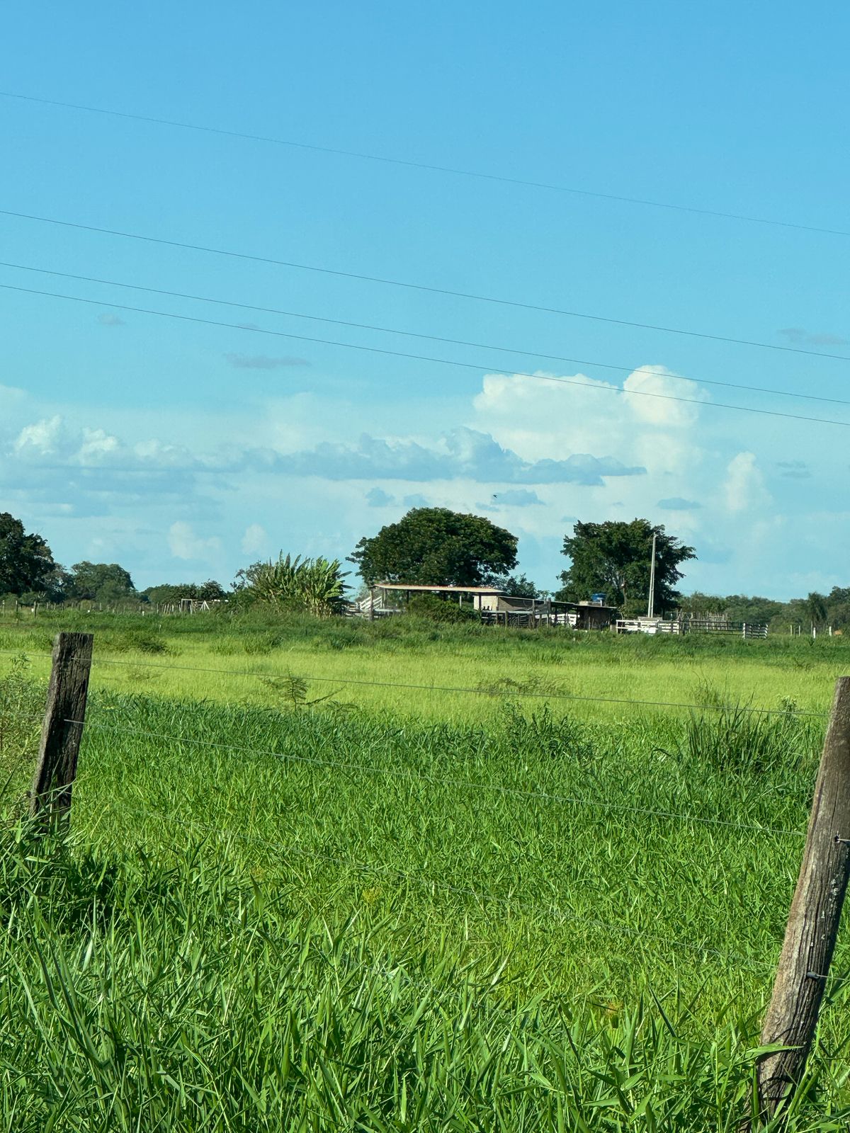 Área Rural à Venda – Fátima do Sul/MS — foto