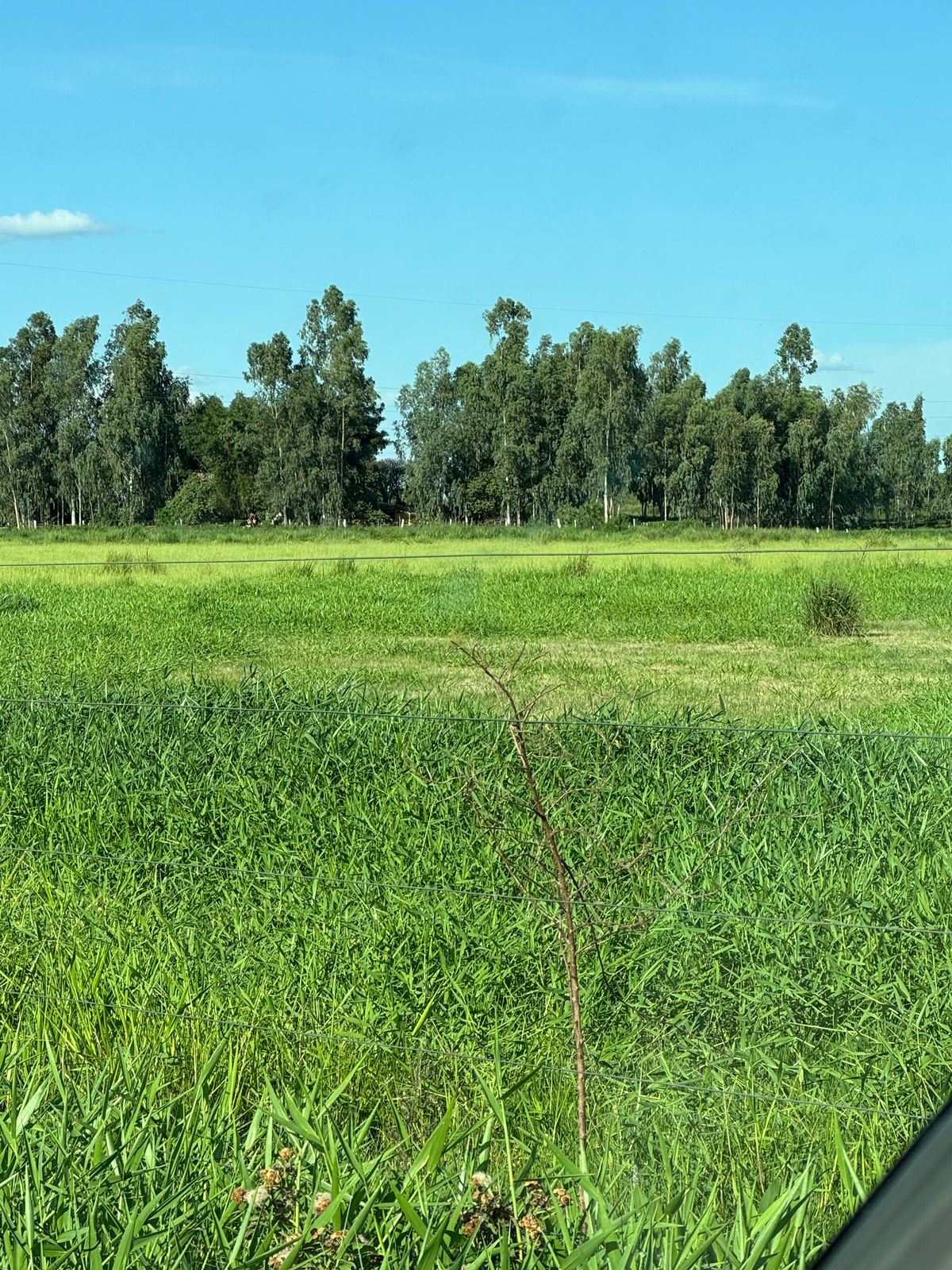 Área Rural à Venda – Fátima do Sul/MS — foto