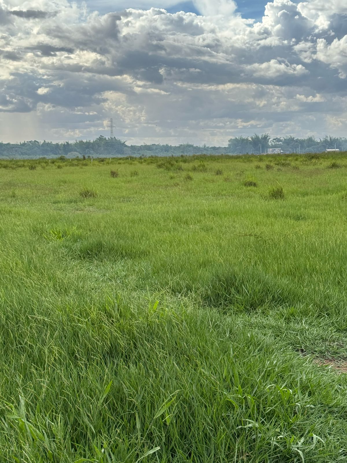 Área Rural à Venda – Fátima do Sul/MS — foto