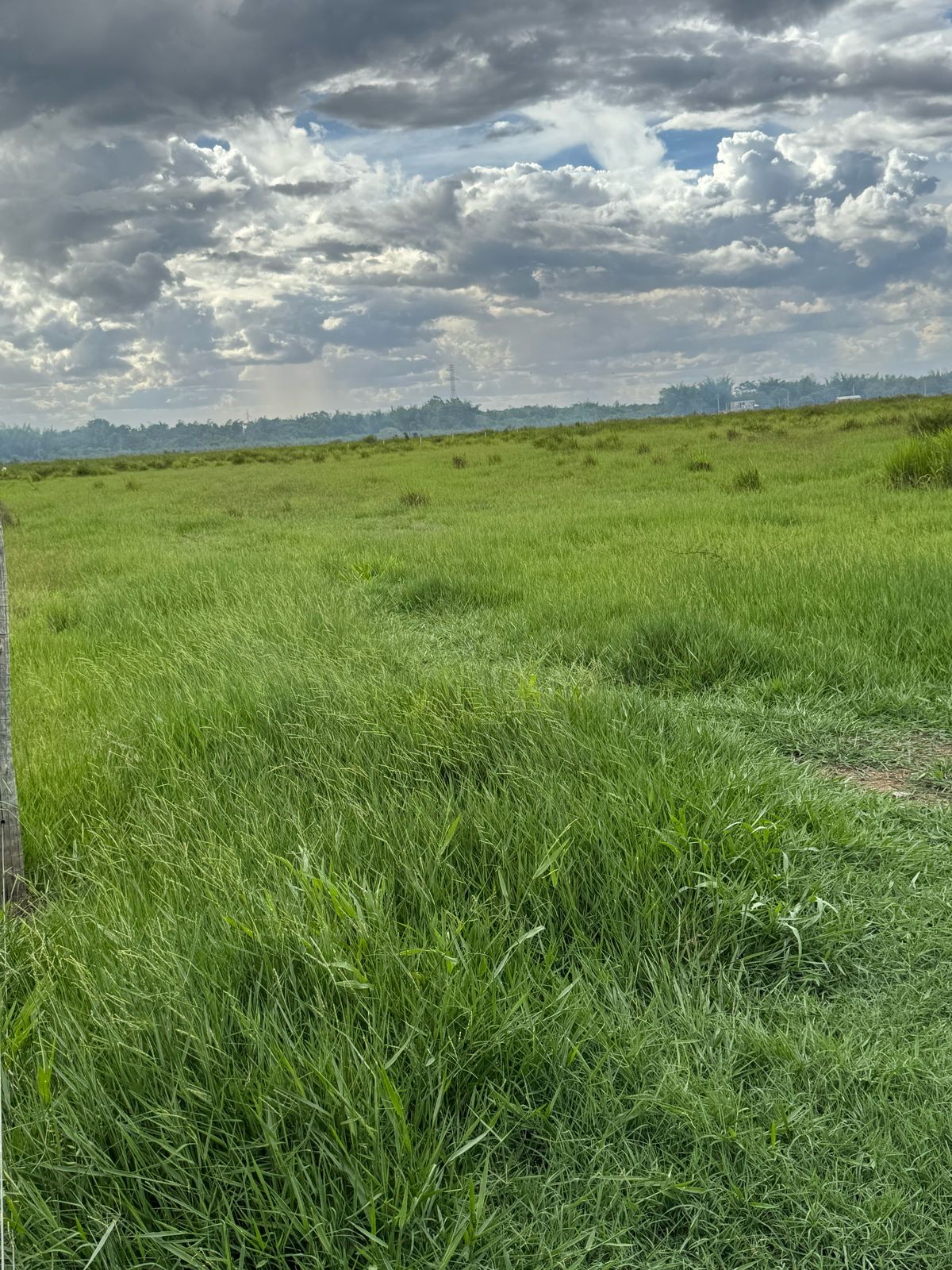 Área Rural à Venda – Fátima do Sul/MS — foto