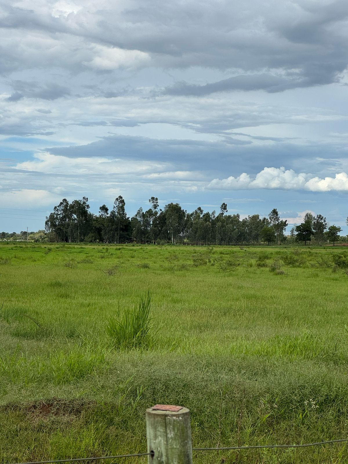 Área Rural à Venda – Fátima do Sul/MS — foto