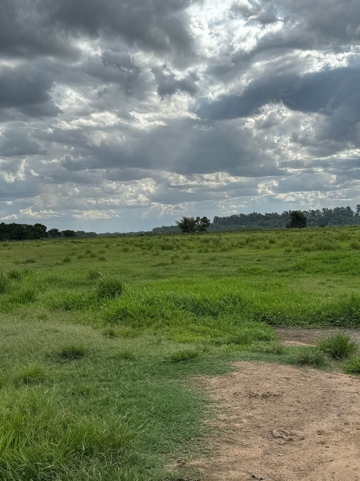 Área Rural à Venda – Fátima do Sul/MS — foto