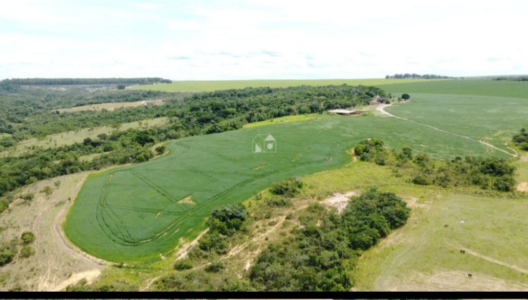 Fazenda à Venda – Agropecuária e Mineração | Silvânia/GO — foto