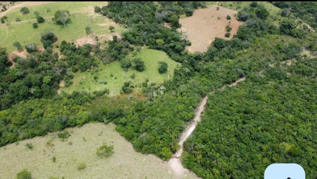 Fazenda à Venda – Agropecuária e Mineração | Silvânia/GO — foto