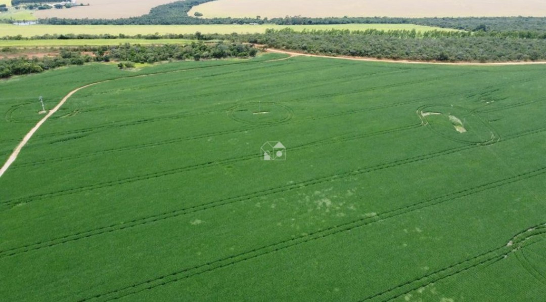 Fazenda à Venda – Agropecuária e Mineração | Silvânia/GO — foto